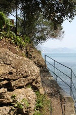Enlarge photo 52