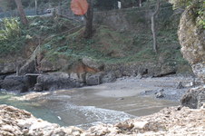 Enlarge photo 55
