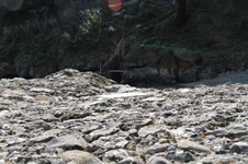 Enlarge photo 57