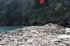 Enlarge photo 59