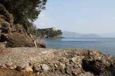 Enlarge photo 66