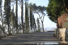Enlarge photo 30