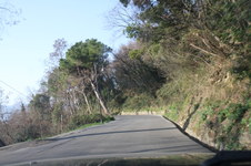 Enlarge photo 31