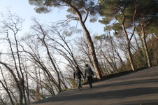Enlarge photo 33