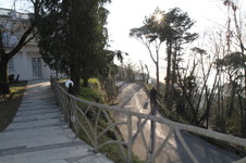Enlarge photo 36