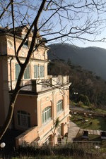 Enlarge photo 45