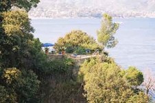 Enlarge photo 52