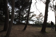 Enlarge photo 33