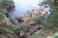 Enlarge photo 39