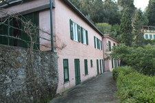 Enlarge photo 43