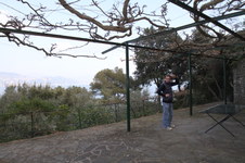 Enlarge photo 44