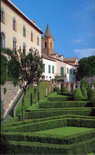 Enlarge photo 62