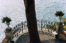 Enlarge photo 63