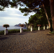 Enlarge photo 66