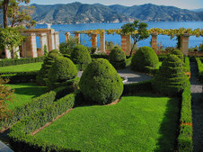 Enlarge photo 59