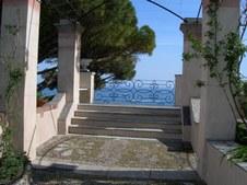 Enlarge photo 72