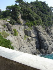 Enlarge photo 37