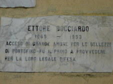 Enlarge photo 45