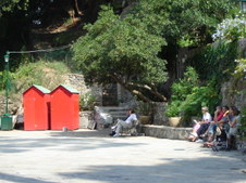 Enlarge photo 67