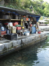 Enlarge photo 75