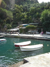 Enlarge photo 82