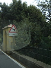 Enlarge photo 99