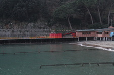 Enlarge photo 202