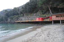Enlarge photo 206