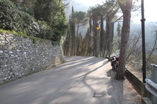 Enlarge photo 329