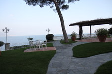 Enlarge photo 333