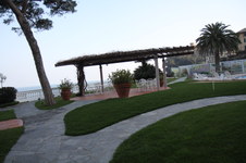 Enlarge photo 334
