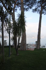 Enlarge photo 335