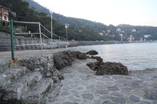 Enlarge photo 342