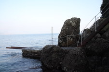 Enlarge photo 343