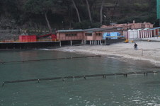 Enlarge photo 358