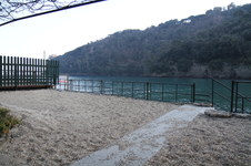 Enlarge photo 366