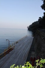 Enlarge photo 370