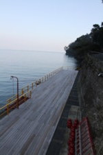 Enlarge photo 371