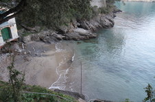 Enlarge photo 375