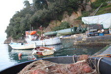 Enlarge photo 385
