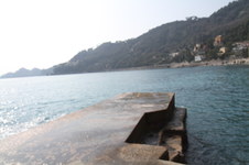 Enlarge photo 26