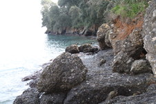Enlarge photo 38