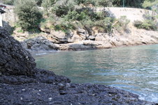 Enlarge photo 42