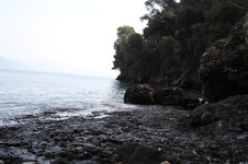 Enlarge photo 44