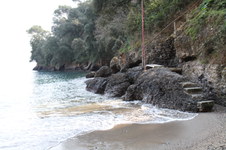 Enlarge photo 45