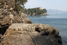 Enlarge photo 48
