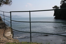 Enlarge photo 50