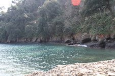 Enlarge photo 52