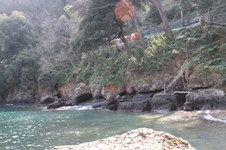 Enlarge photo 53