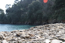 Enlarge photo 55